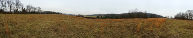 Perry County Land.jpg