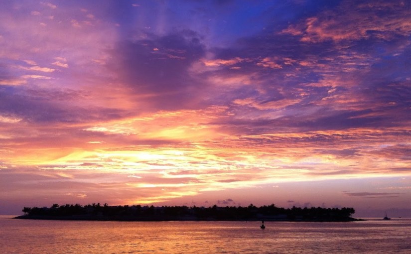 Embrace What You’ve&nbsp;Got